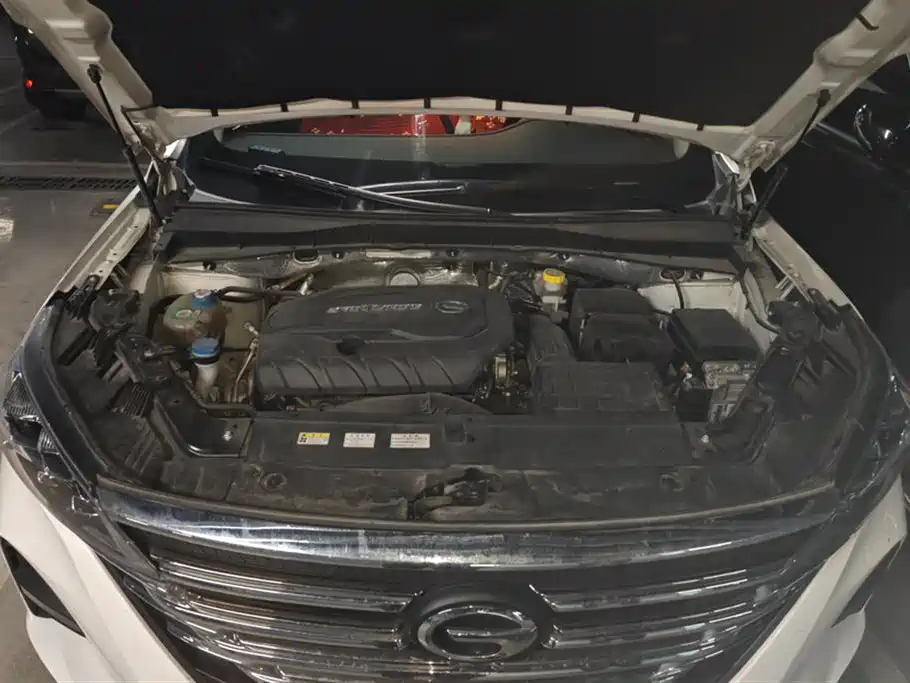 Trumpchi Trumpchi GS5