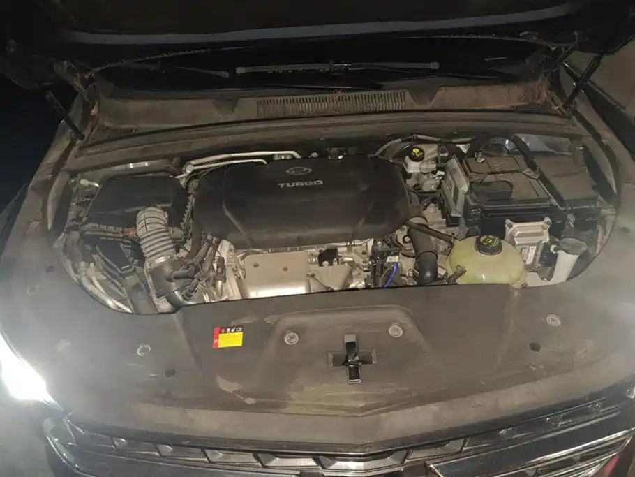 Wuling Wuling Capgemini