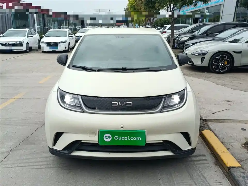 BYD dolphin BYD dolphin