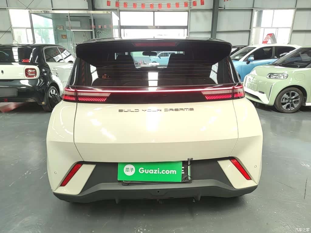 BYD Seagull, 2024 6