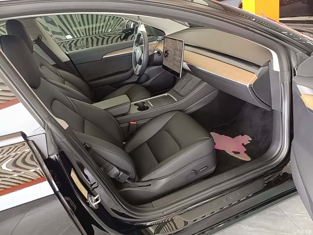 Tesla Model 3, 2022 25