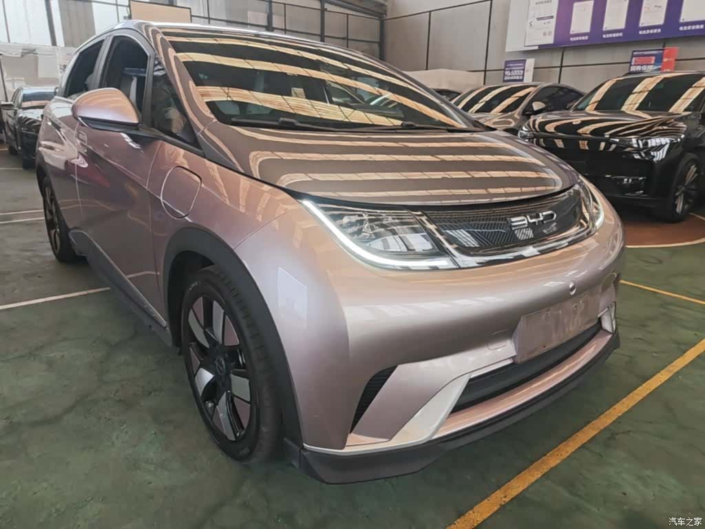 BYD Dolphin, 2022 4