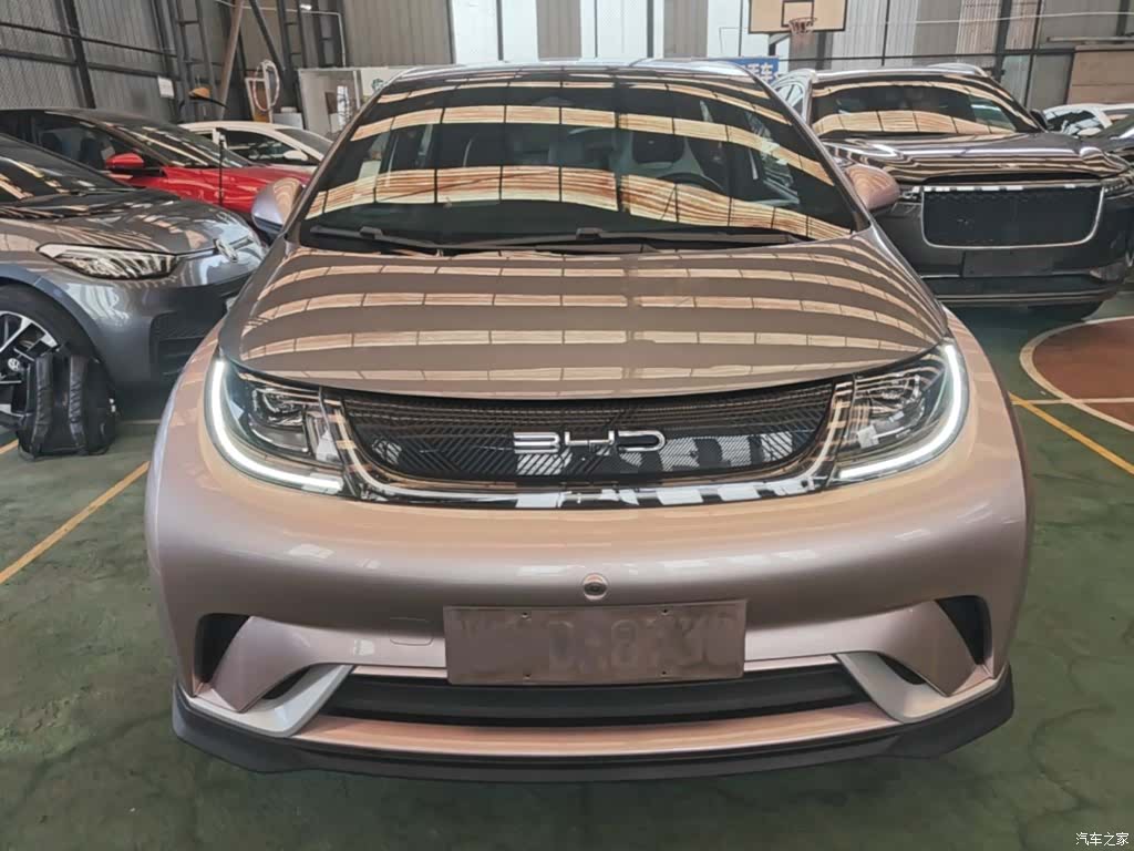 BYD Dolphin, 2022 3