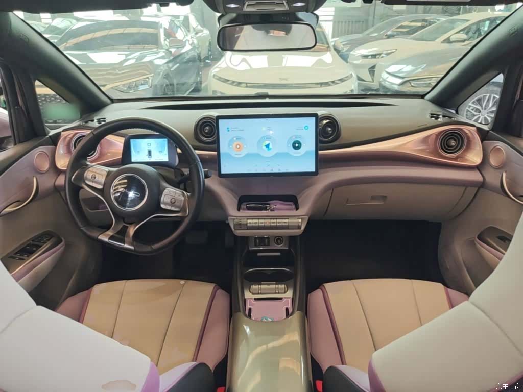 BYD Dolphin, 2022 10