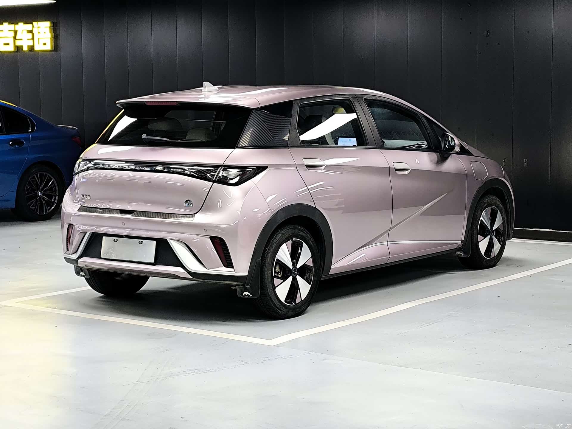 BYD Dolphin, 2023 16