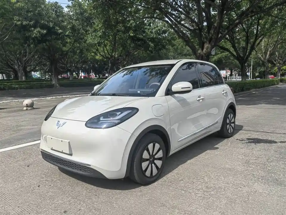 Wuling Wuling Bingguo