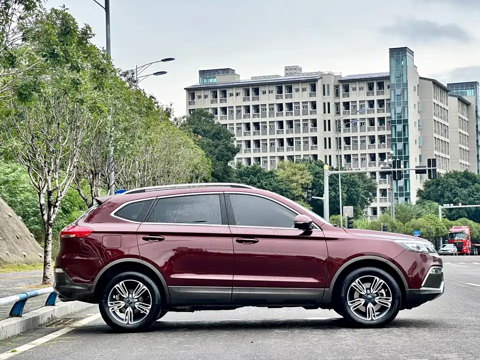 Leopaard Cheetah CS10