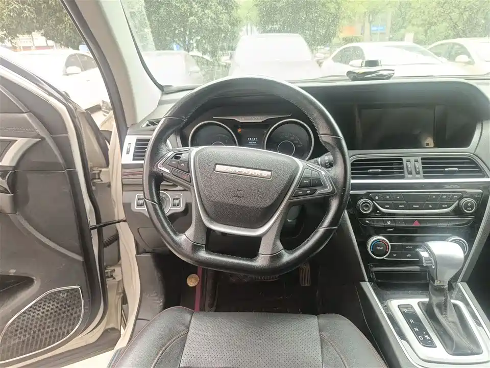 Leopaard Cheetah CS10