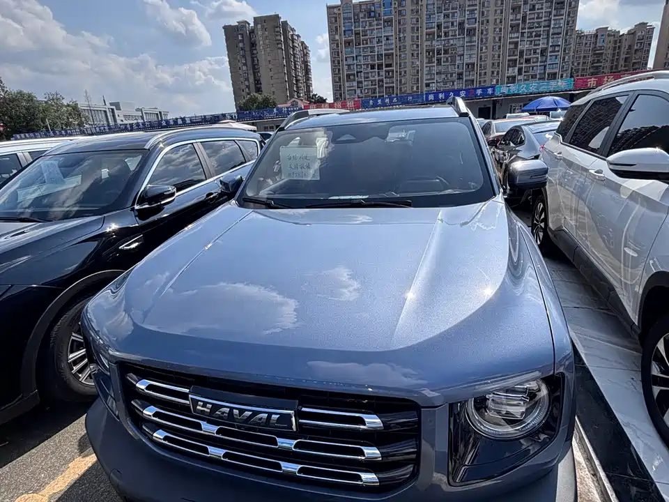 Haval Big dog