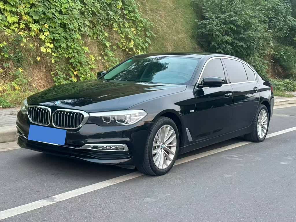 BMW 5 Series 5 2018 530Li Lead Luxury