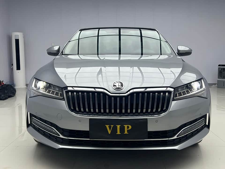 Skoda Speed pie Skoda Speed pie