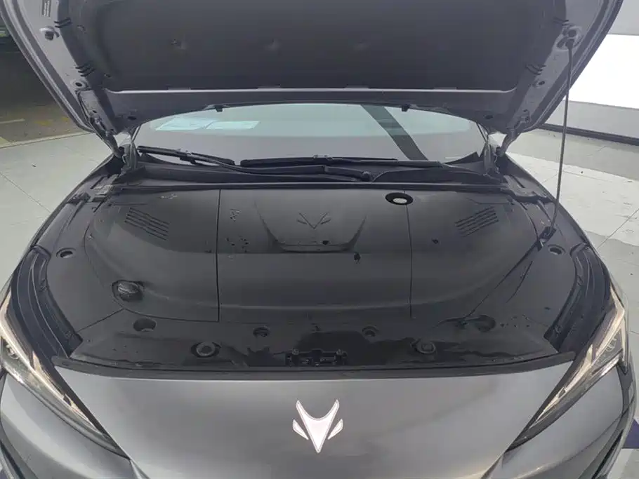 ARCFOX Polar Fox Alpha S5