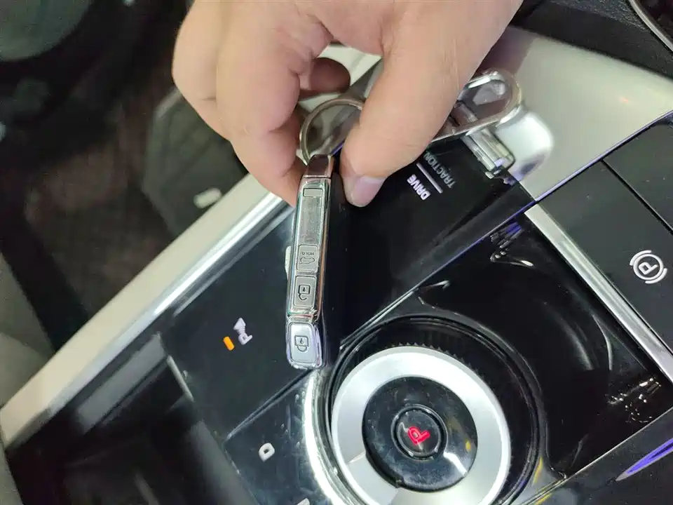 Kia Lion Platinum expands the world