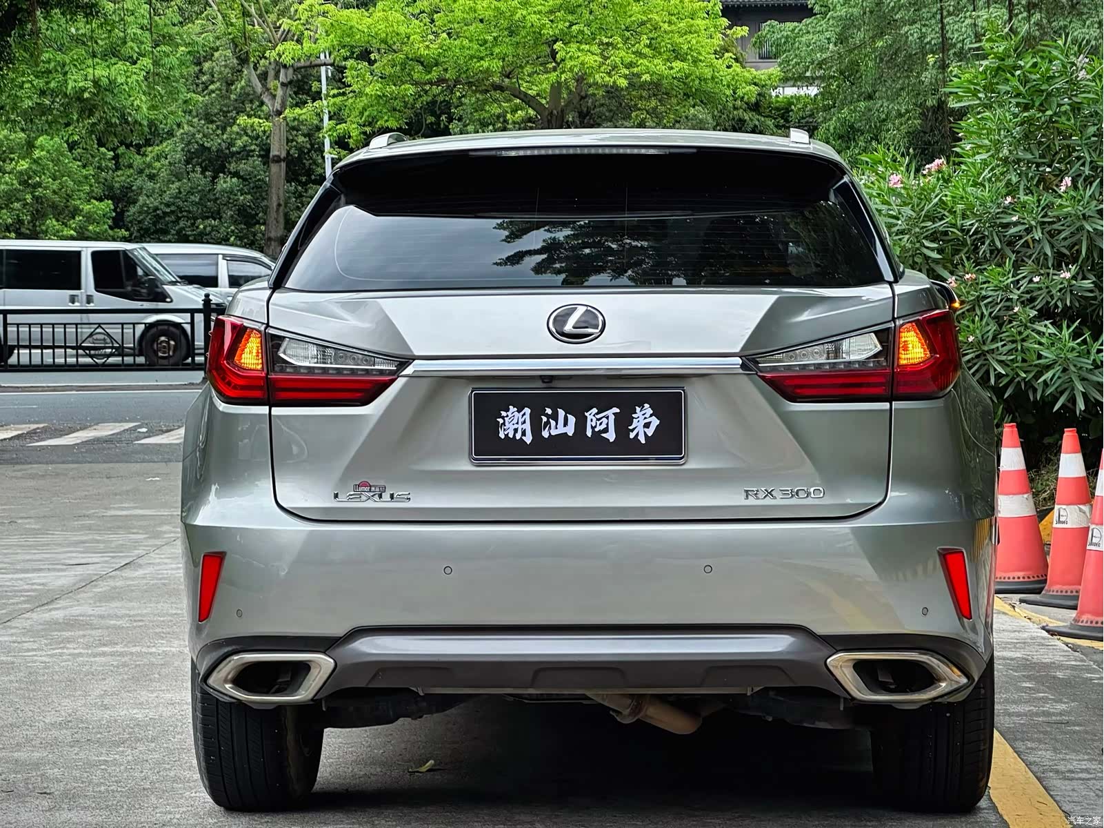Lexus RX, 2019 8