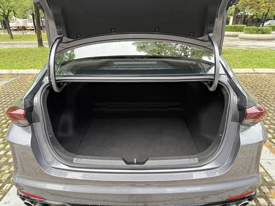 Trumpchi Shadow Leopard