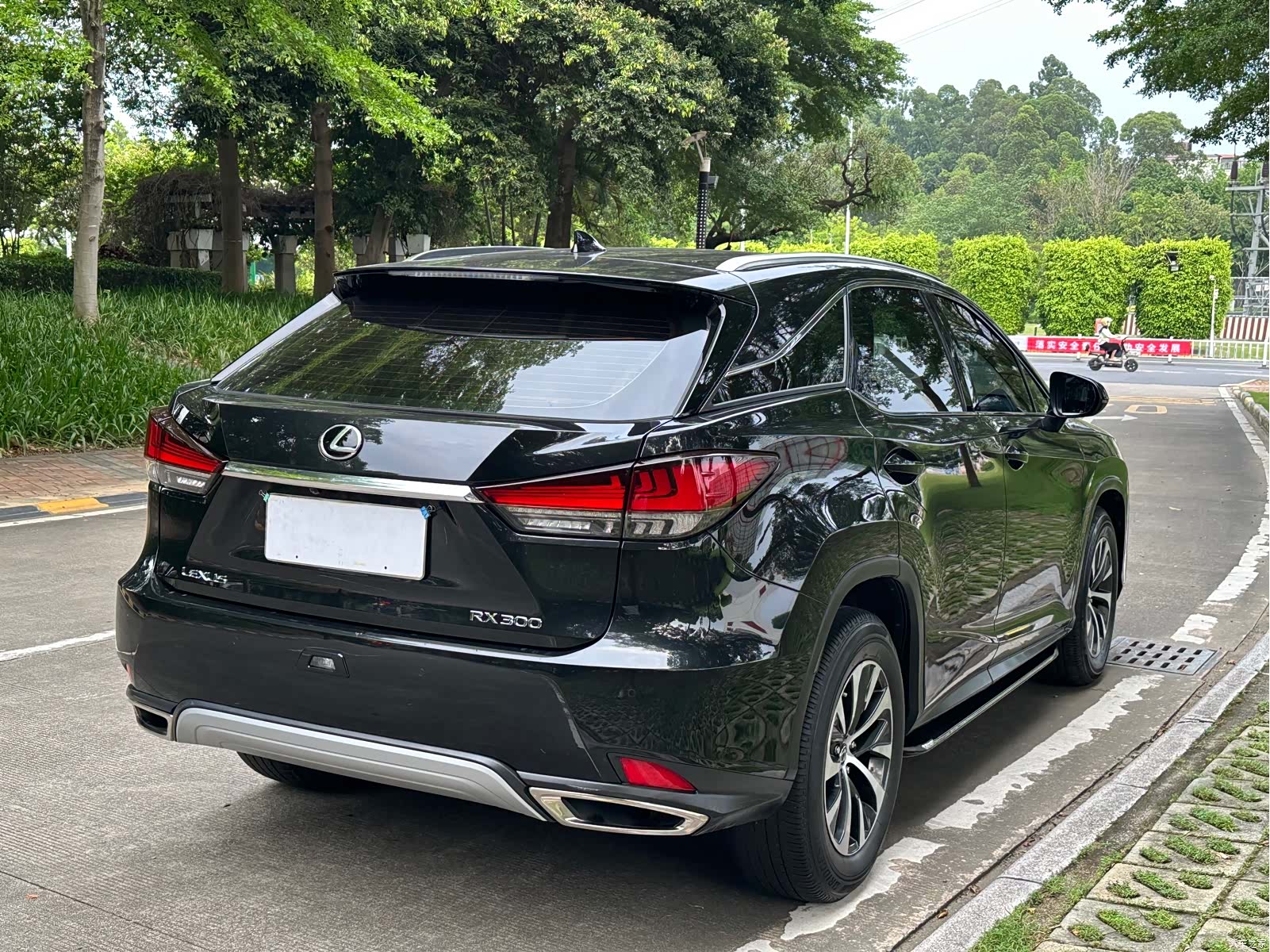 Lexus RX, 2021 все фото