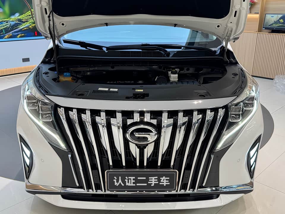 Trumpchi Trumpchi M8