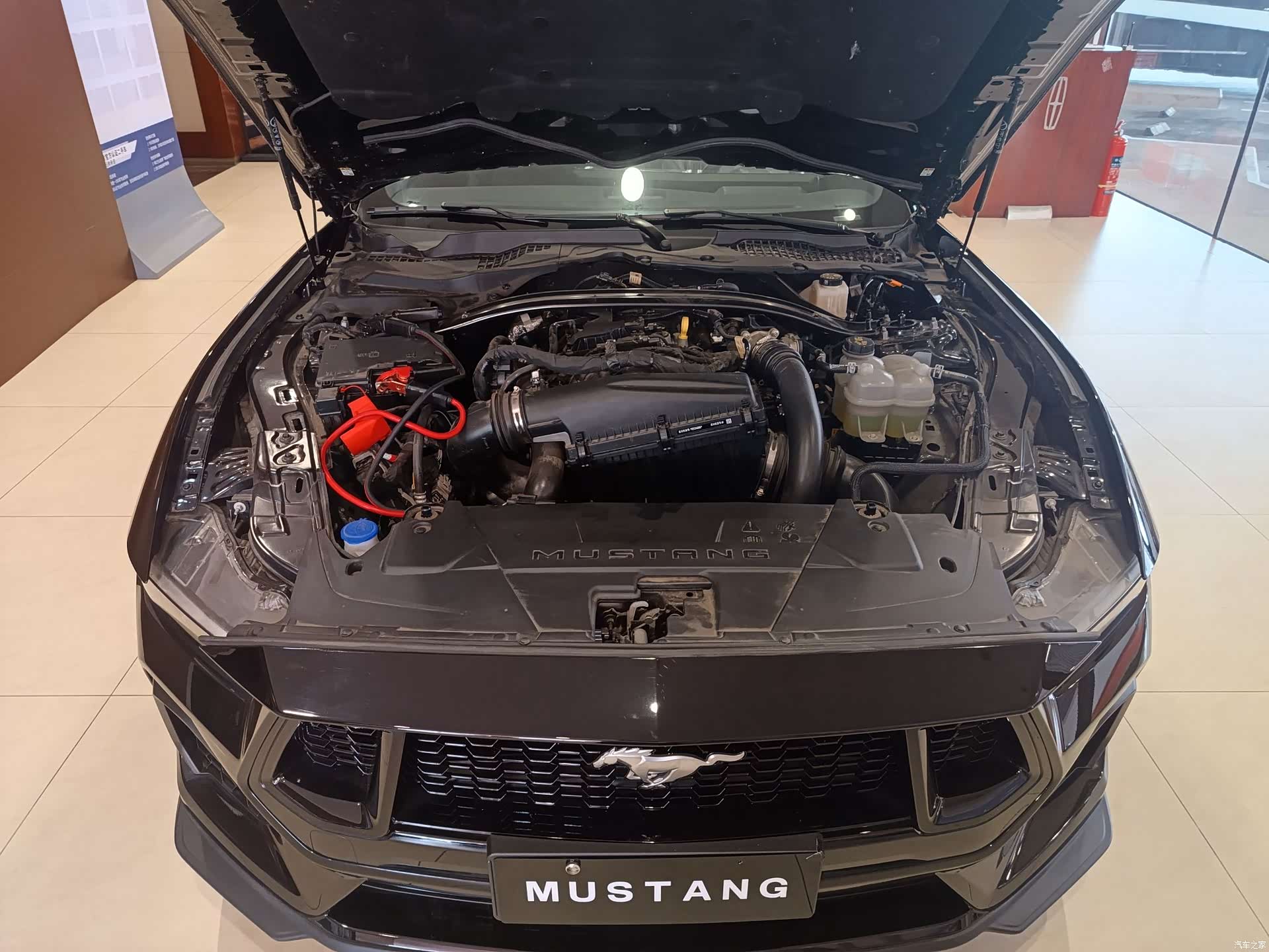 Ford Mustang, 2024 7