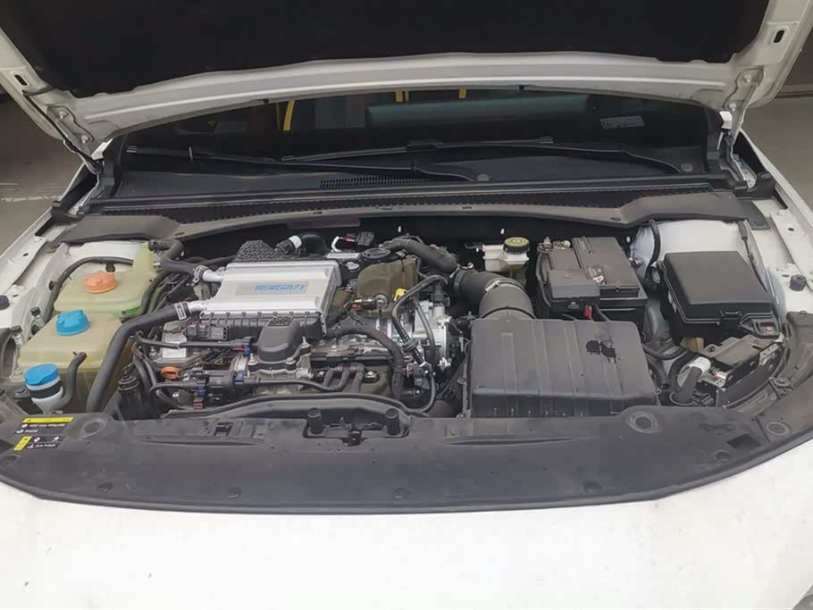 Trumpchi Shadow Leopard
