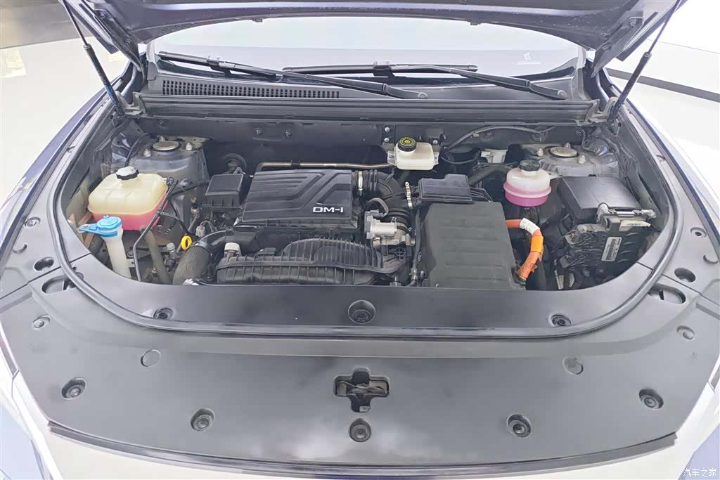 BYD Song, 2024 10