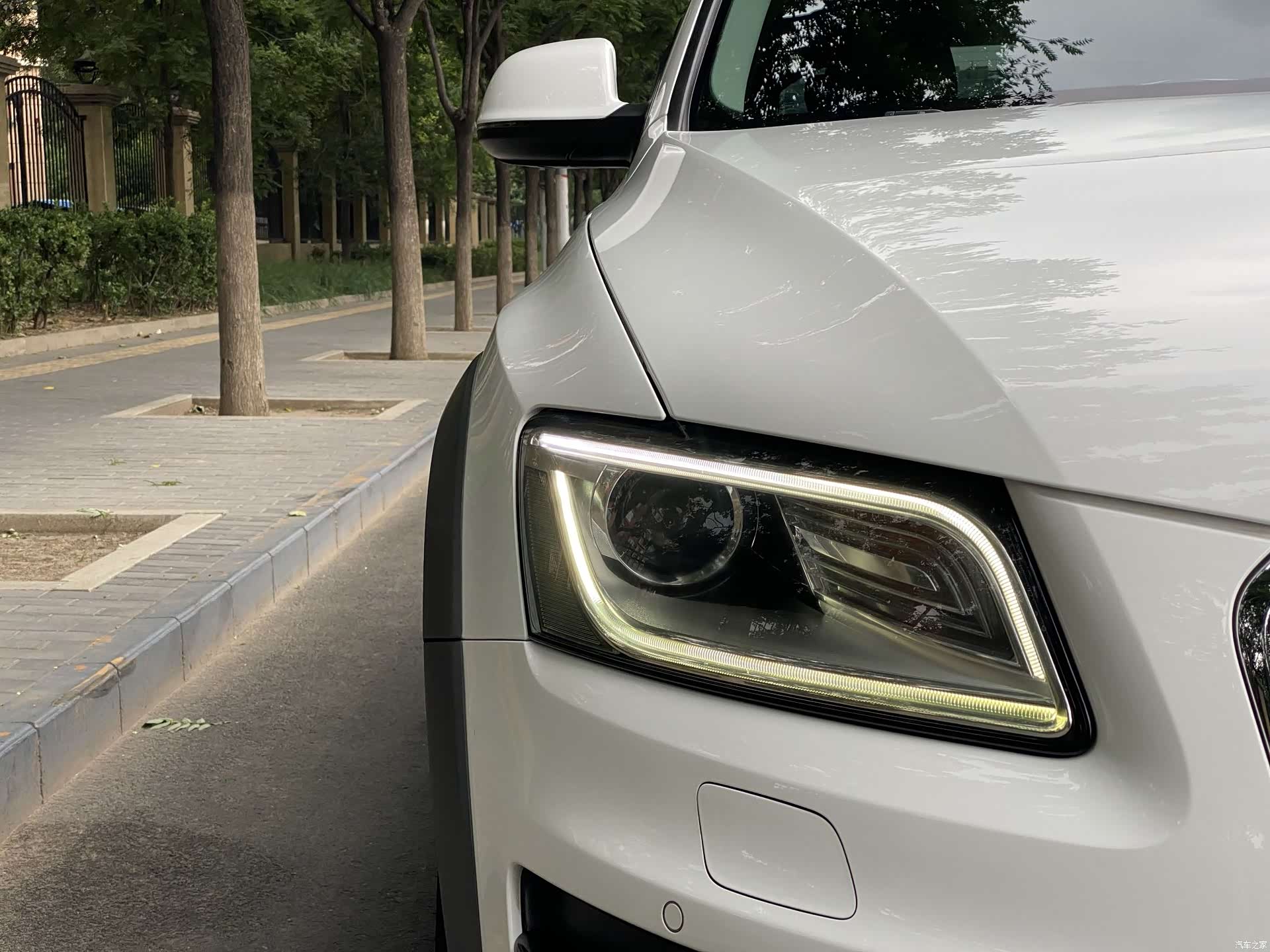 Audi Q5, 2014 все фото