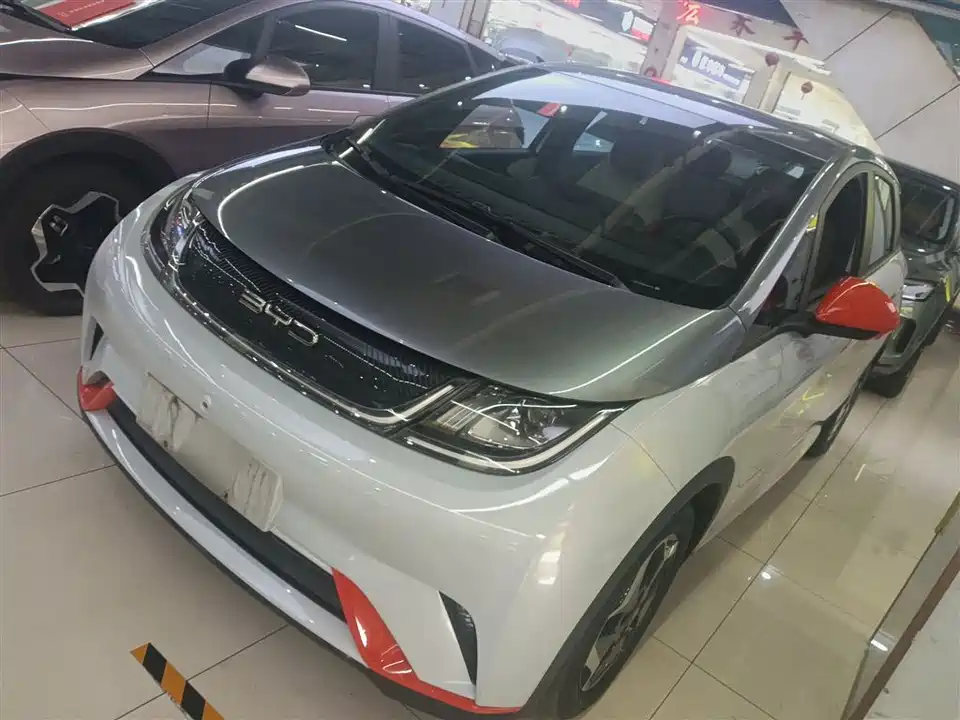 BYD dolphin