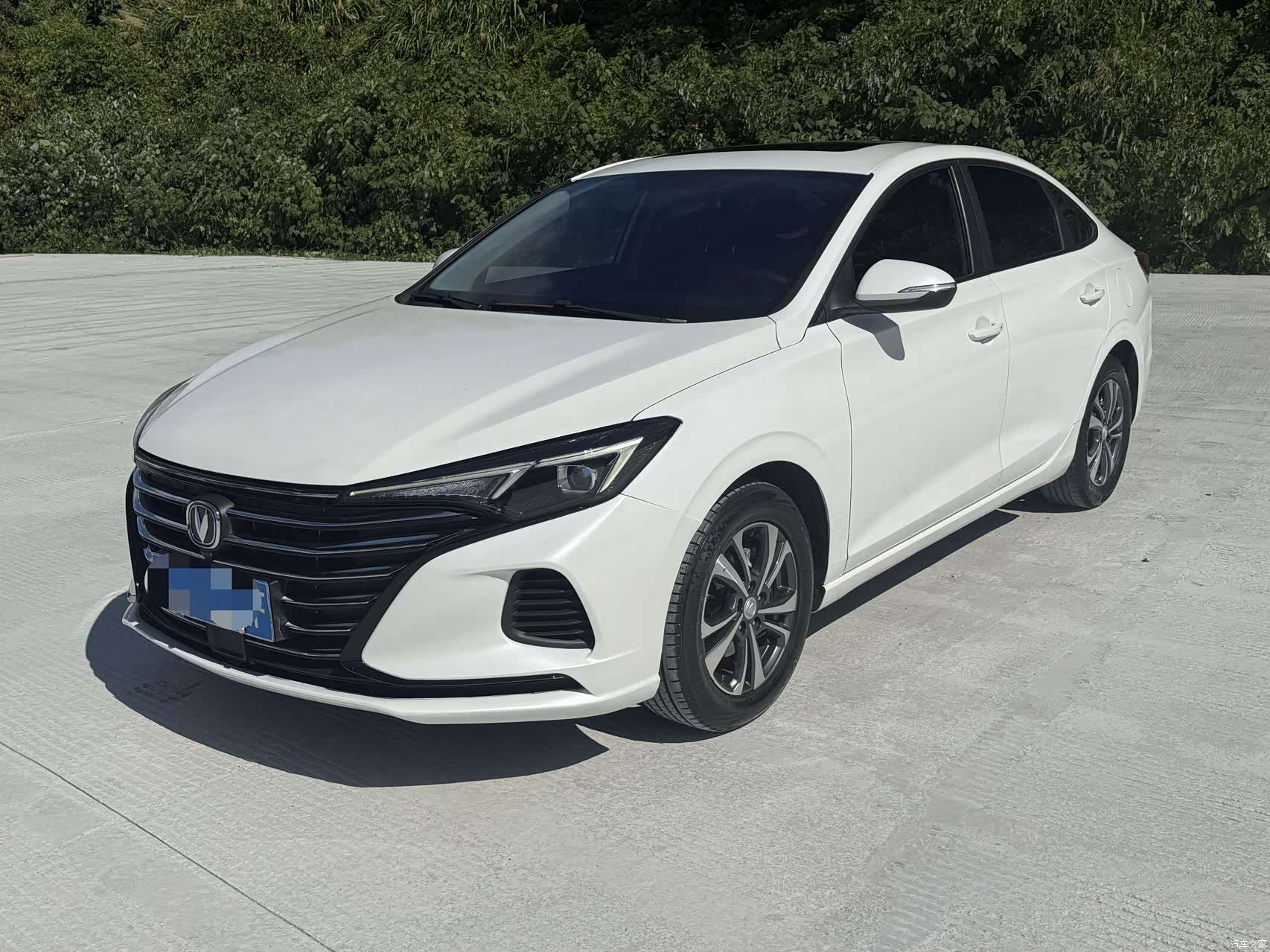 Changan Eado, 2022 1