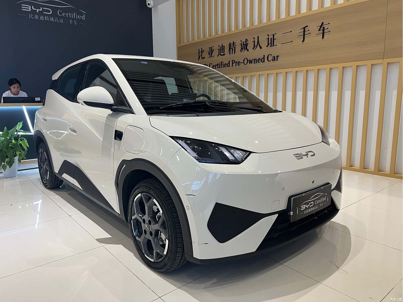 BYD Seagull, 2025 1