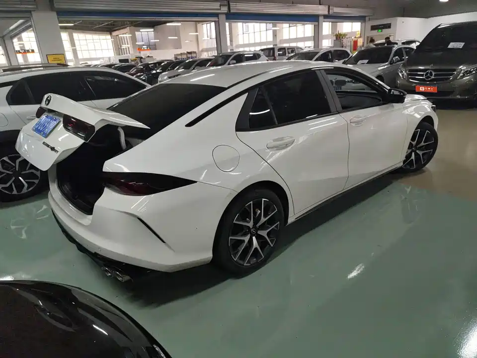 Trumpchi Shadow Leopard