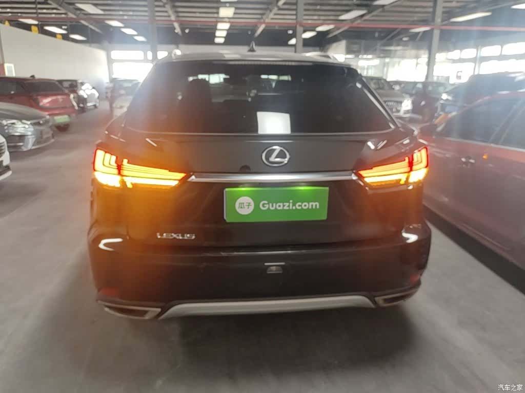 Lexus RX, 2021 6