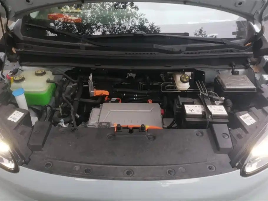 ARCFOX Polar fox koala