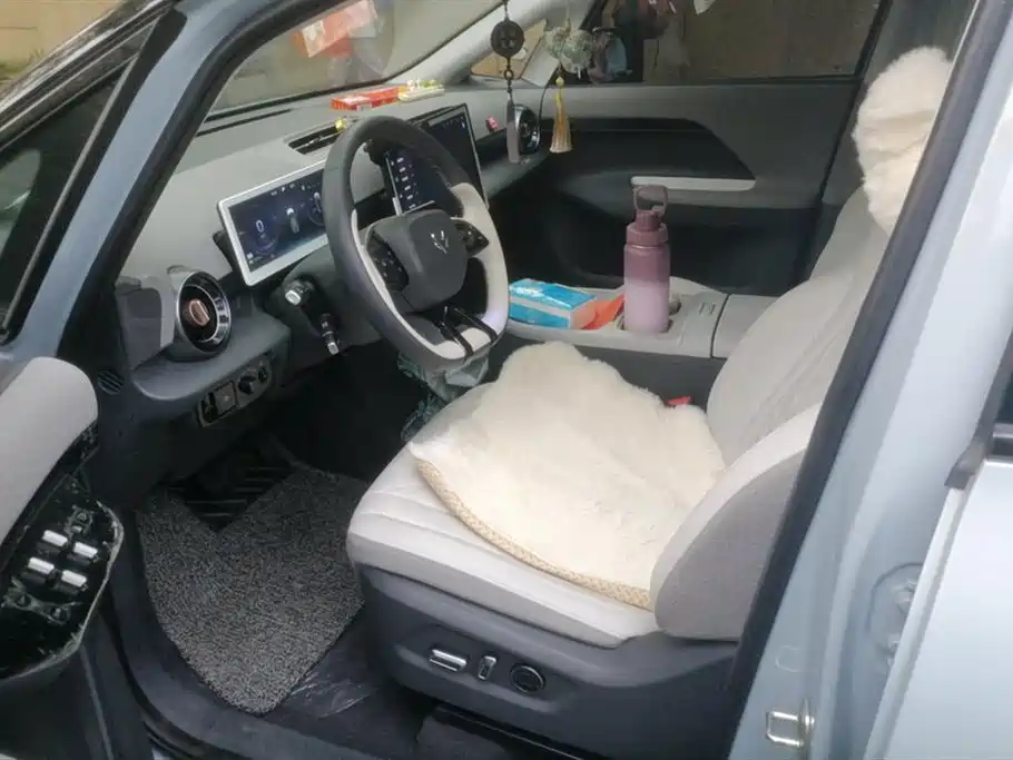 ARCFOX Polar fox koala