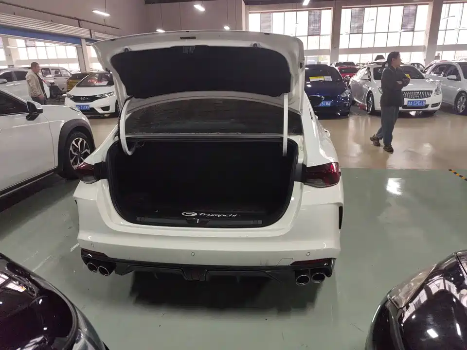 Trumpchi Shadow Leopard