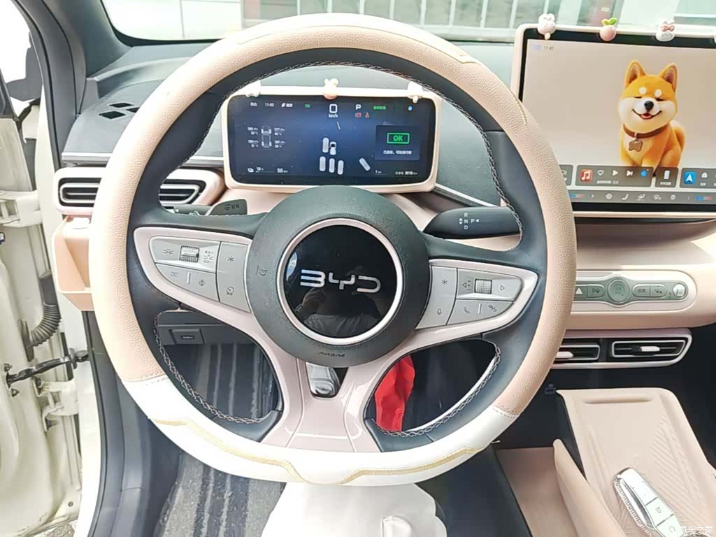 BYD Seagull, 2026 11