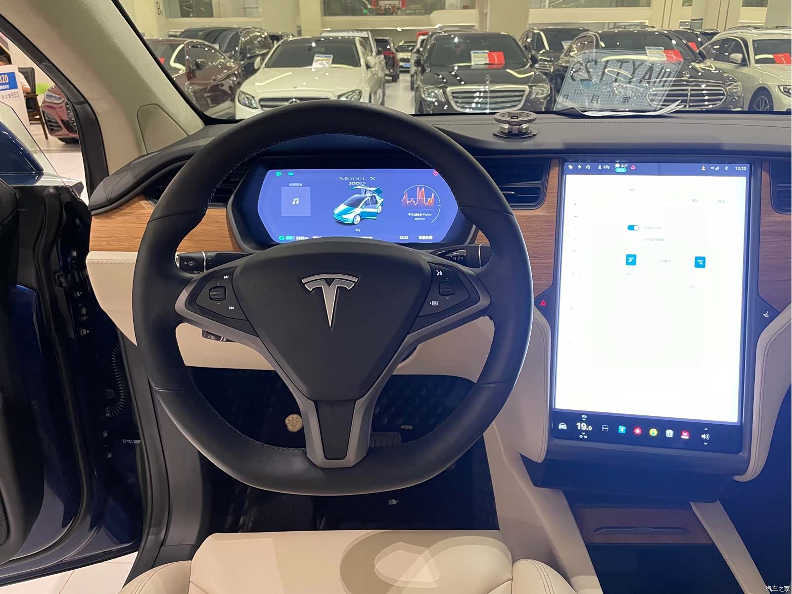 Tesla Model X, 2019 10
