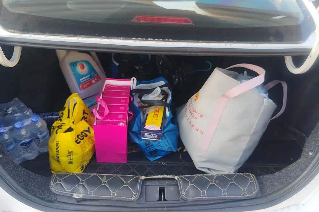 Geely Emgrand, 2019 4