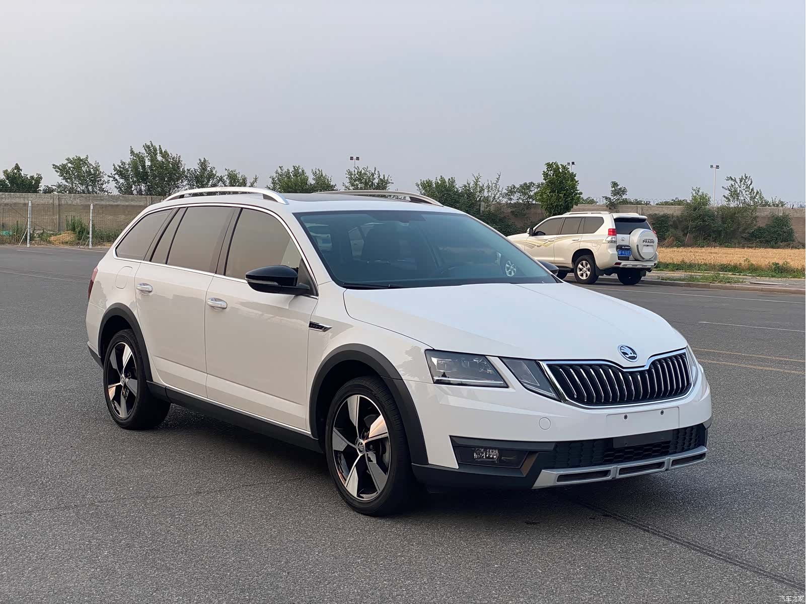 Skoda Octavia, 2020 3