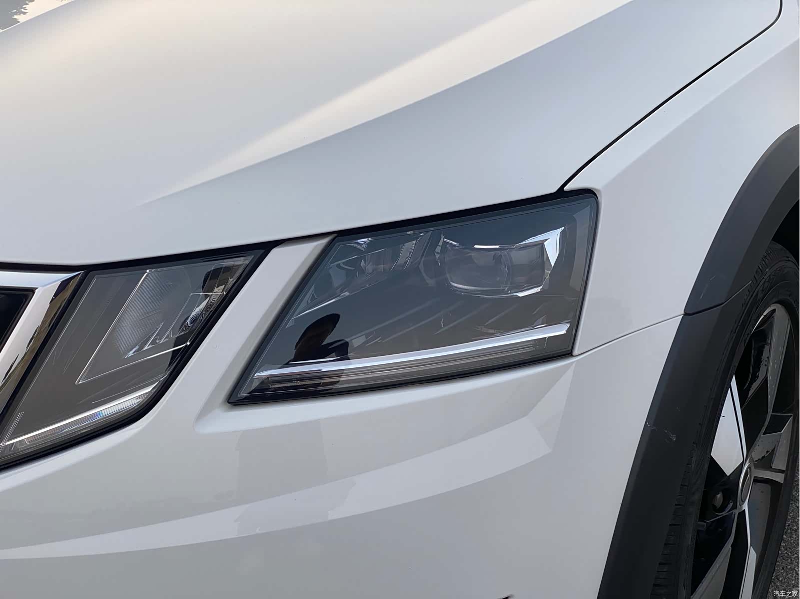 Skoda Octavia, 2020 14