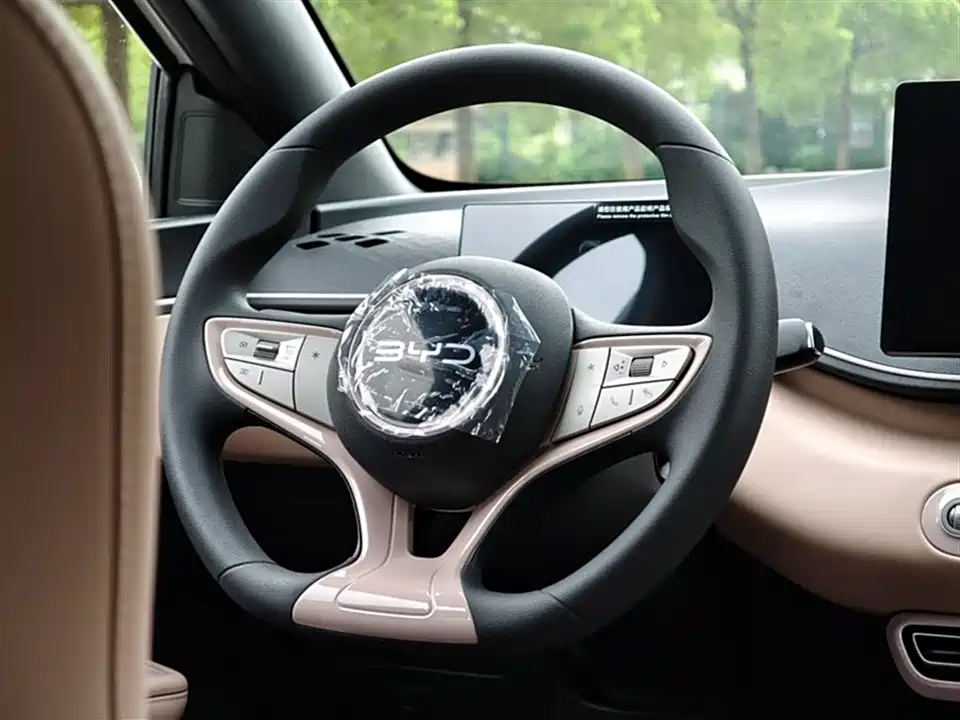 BYD Seagull