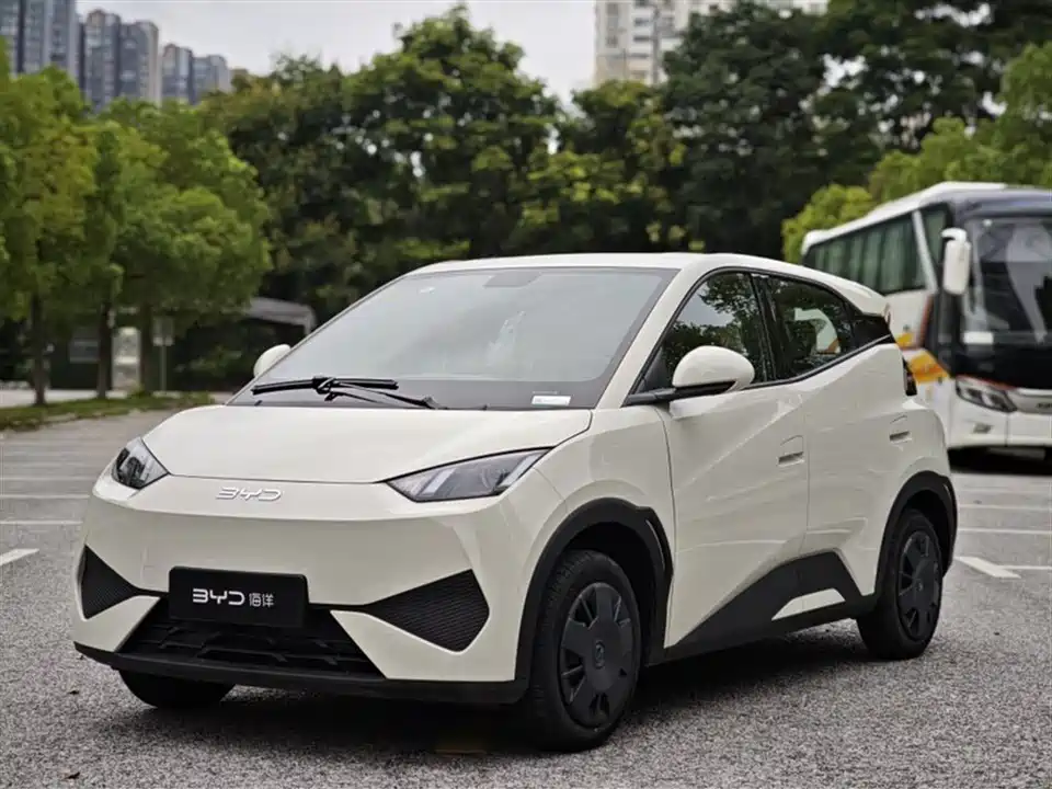 BYD Seagull