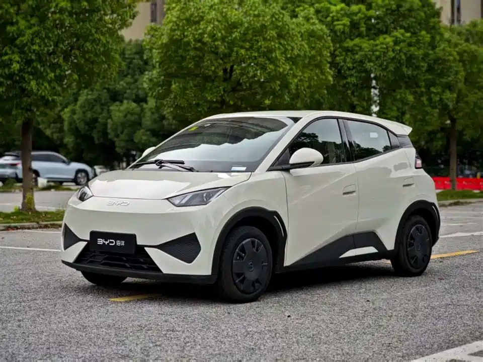 BYD Seagull