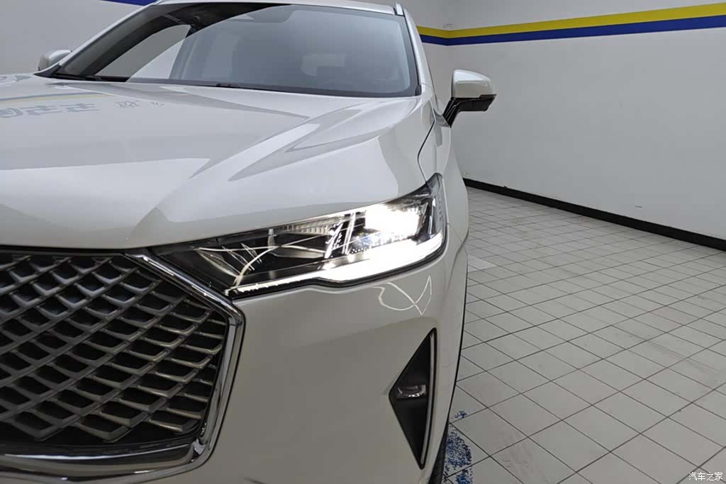 Haval H6, 2025 все фото
