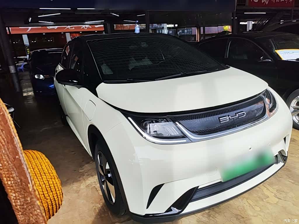 BYD Dolphin, 2023 4