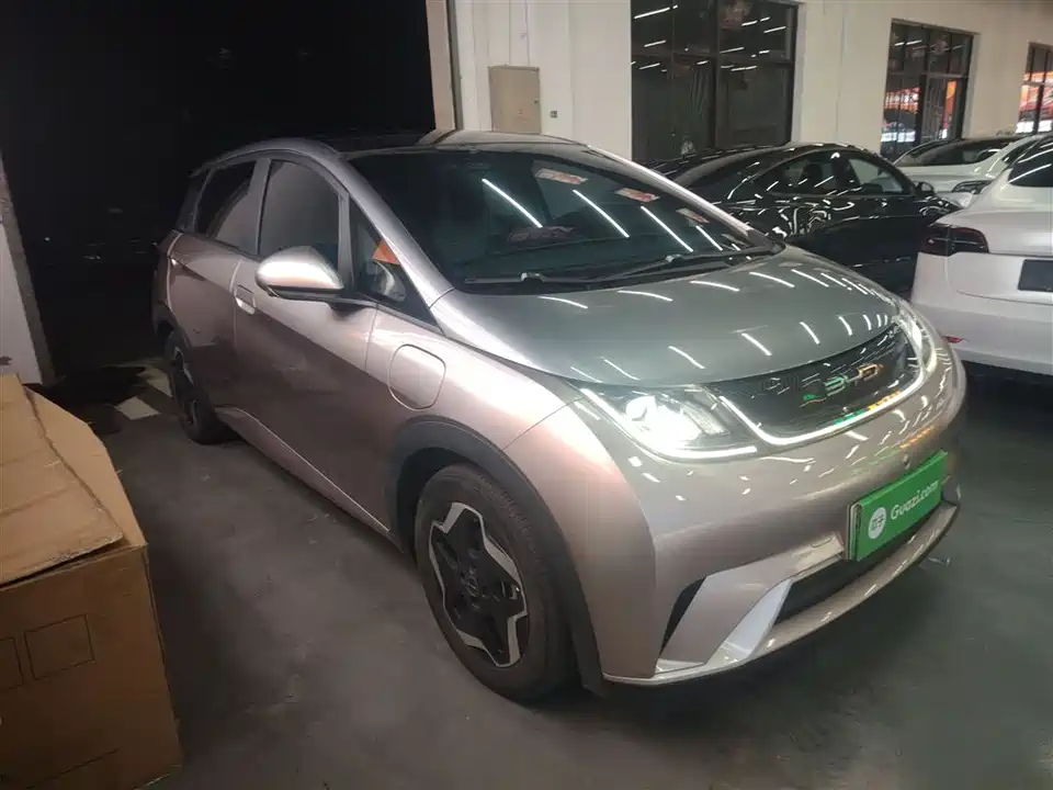 BYD dolphin