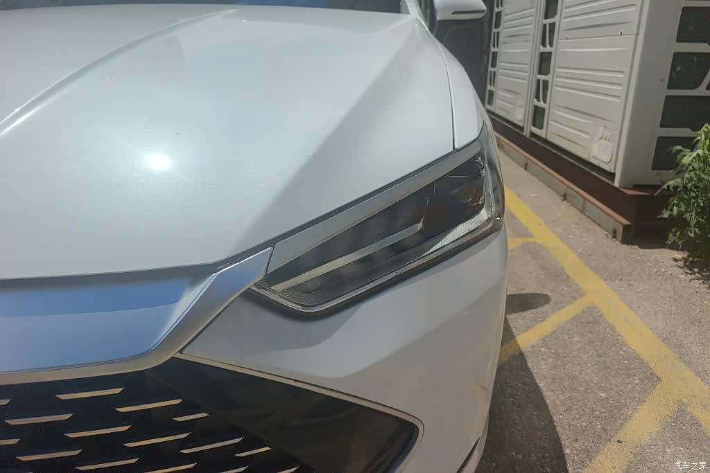 BYD Qin, 2024 все фото