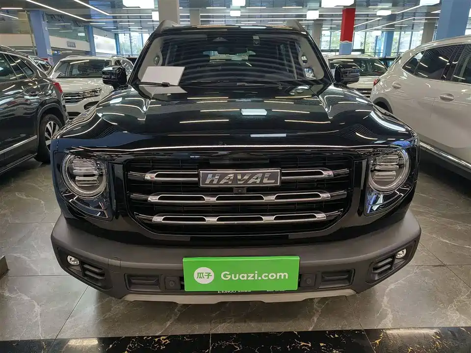 Haval Big dog