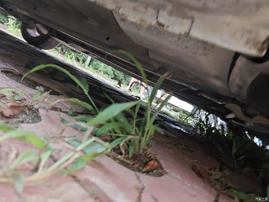 Citroen C4, 2016 18