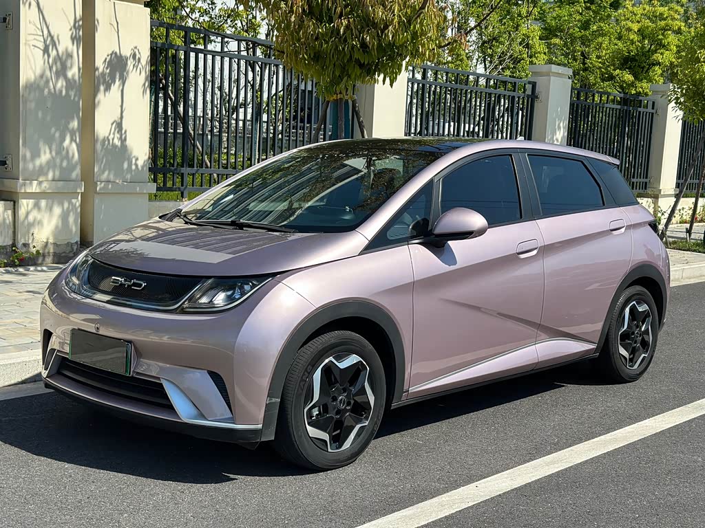 BYD Dolphin