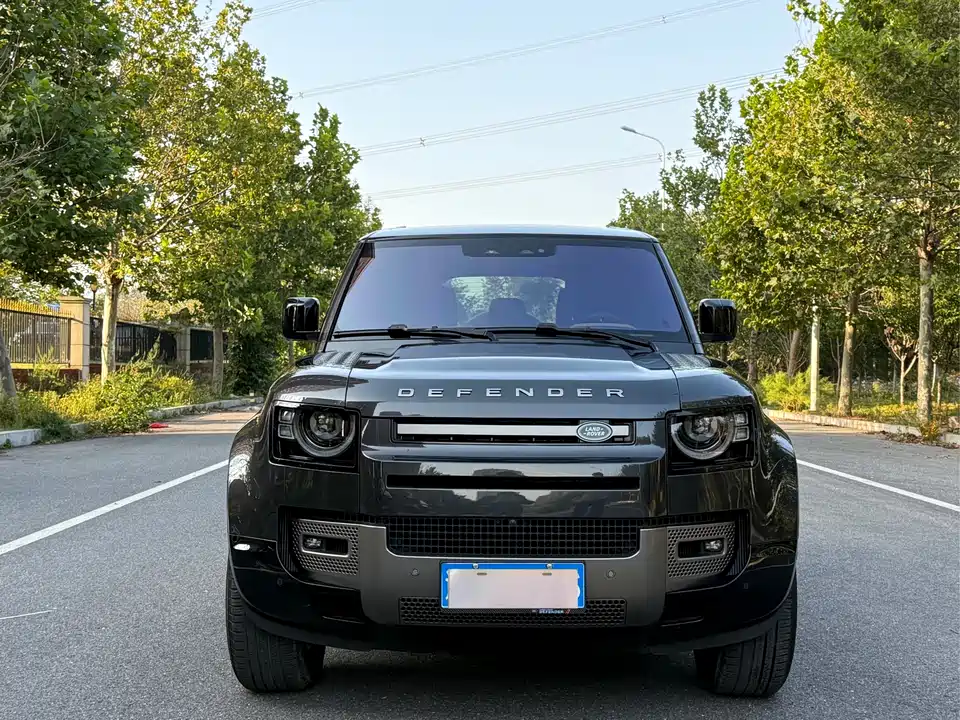 Land Rover guard