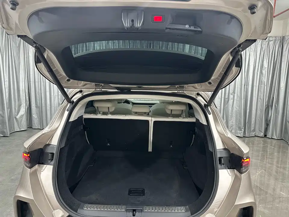 ARCFOX Polar Fox Alpha T6